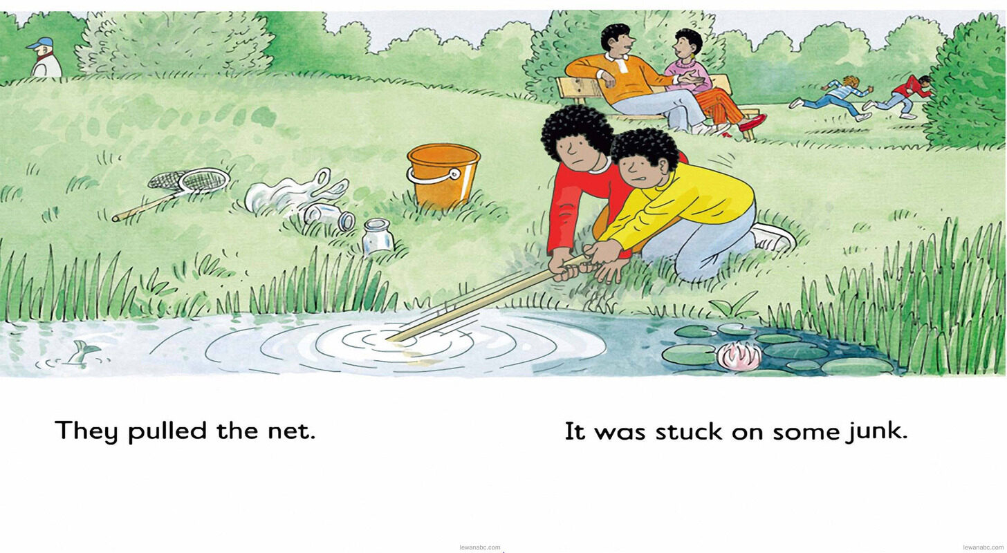 Pond Dipping绘本故事第5页