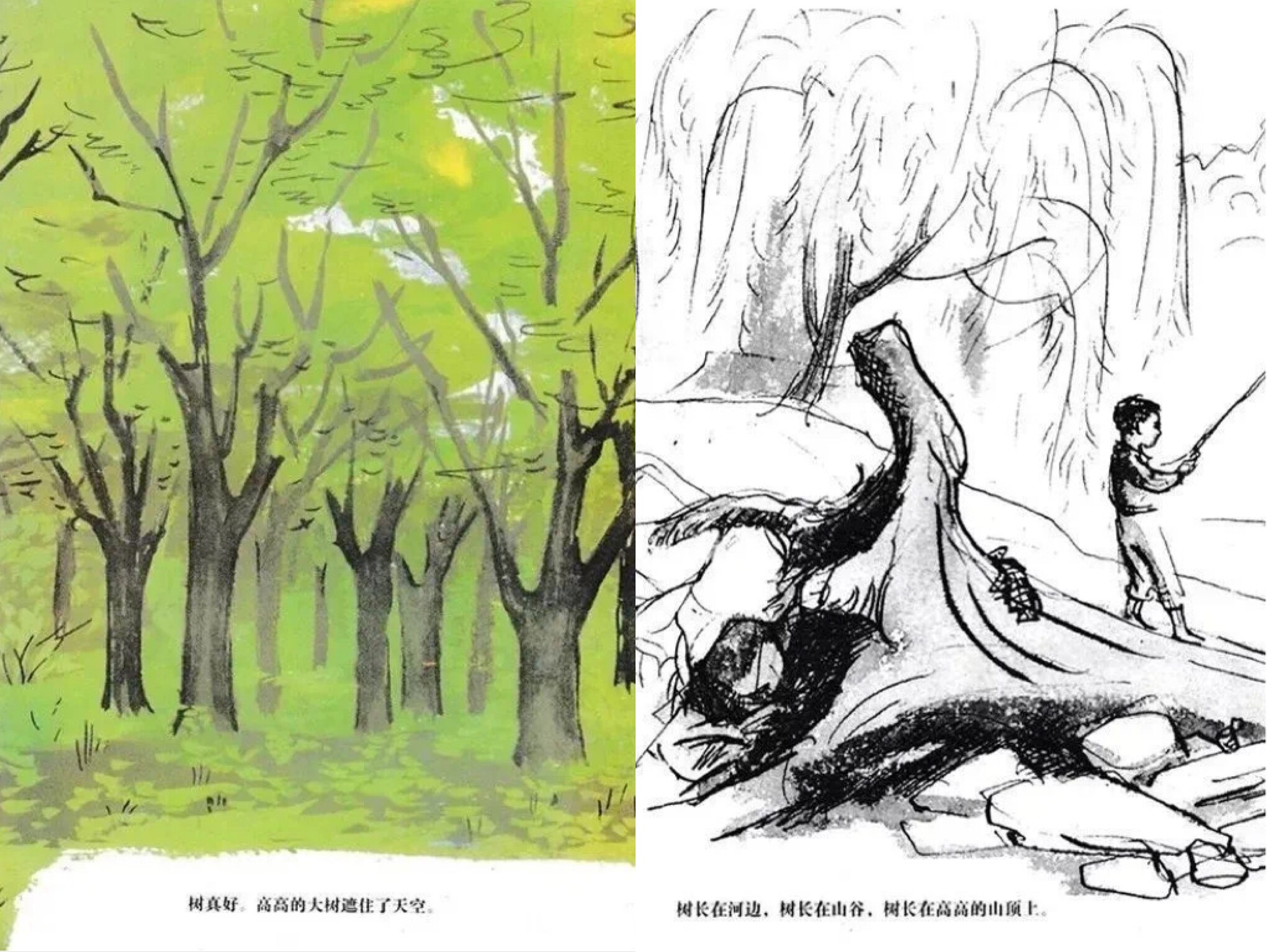 树真好绘本故事第3页