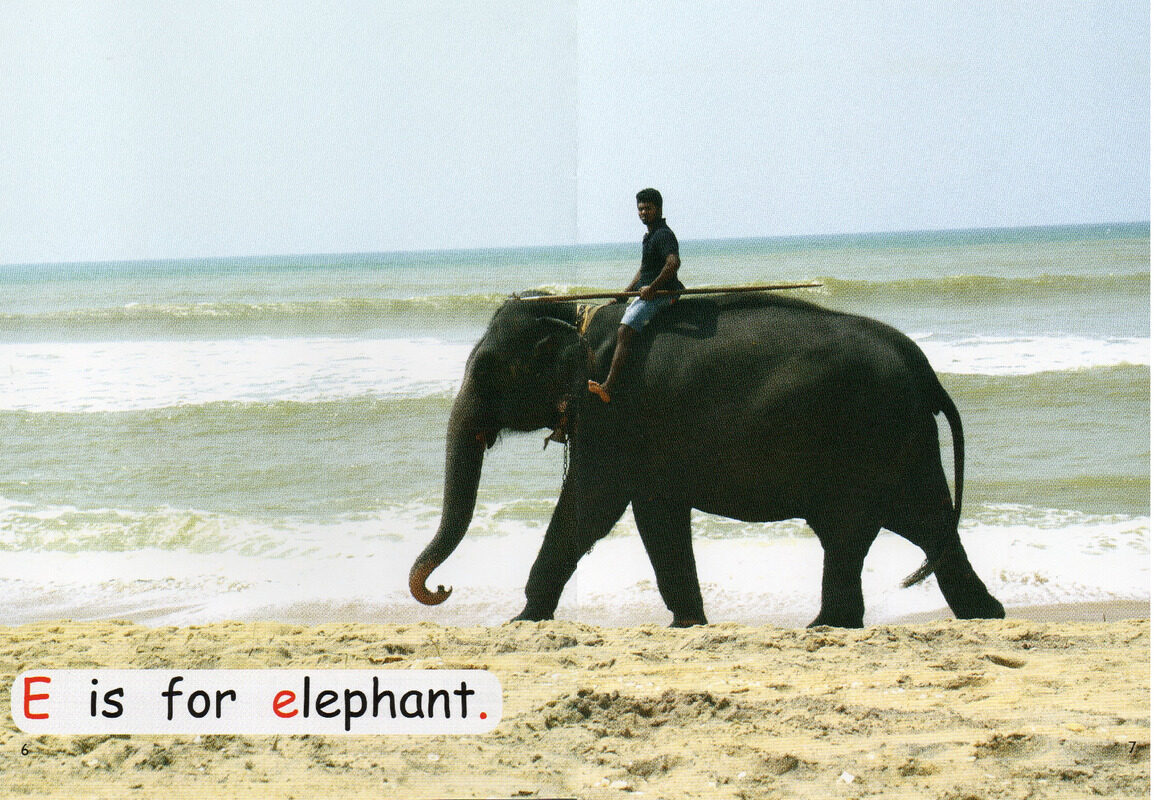 lets go riding绘本故事第5页