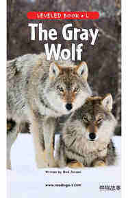 The Gray Wolf