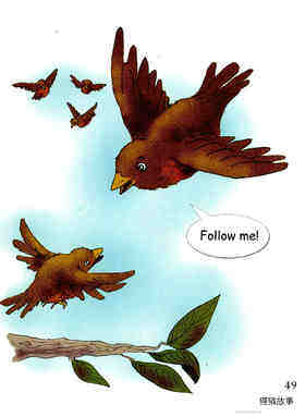 A Family of Birds-2绘本故事第3页
