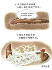 蚯蚓的日记绘本故事第3页