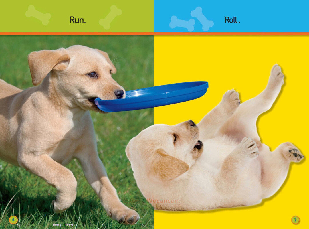 Jump Pup绘本故事第5页