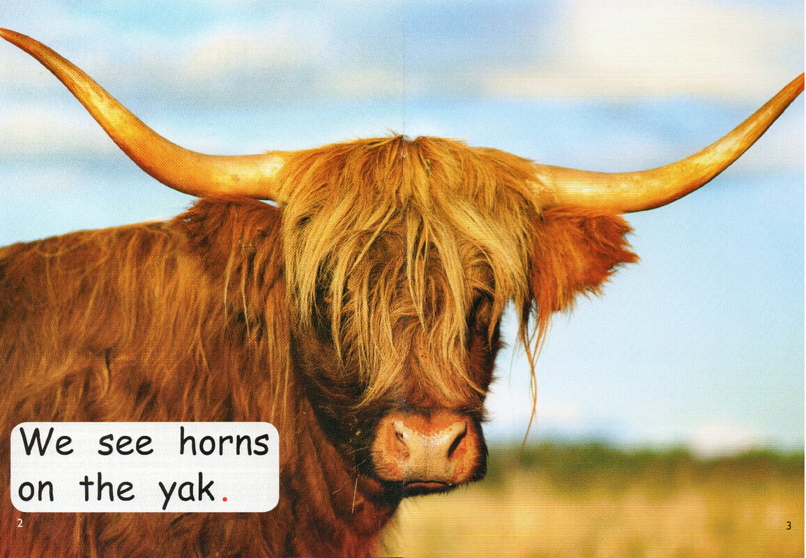 who has horns？绘本故事第3页