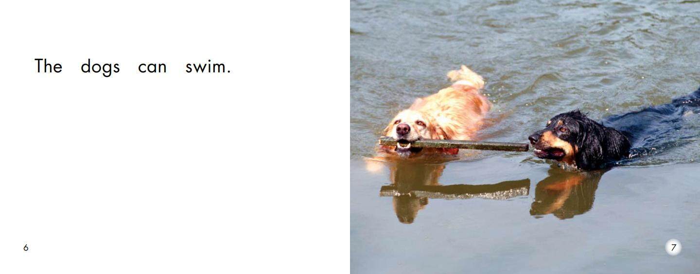 Swim绘本故事第5页