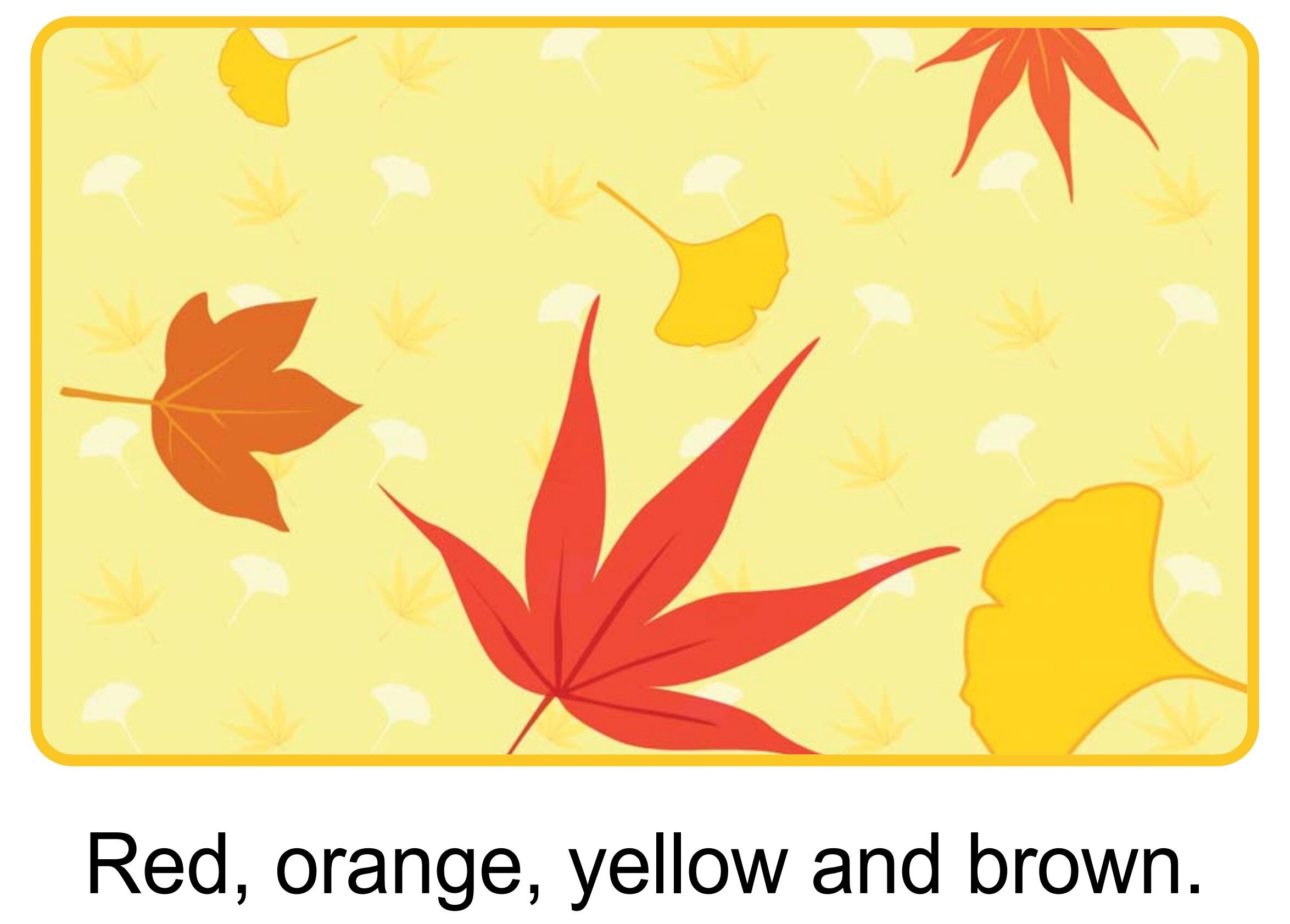 Pick Up a Leaf绘本故事第4页