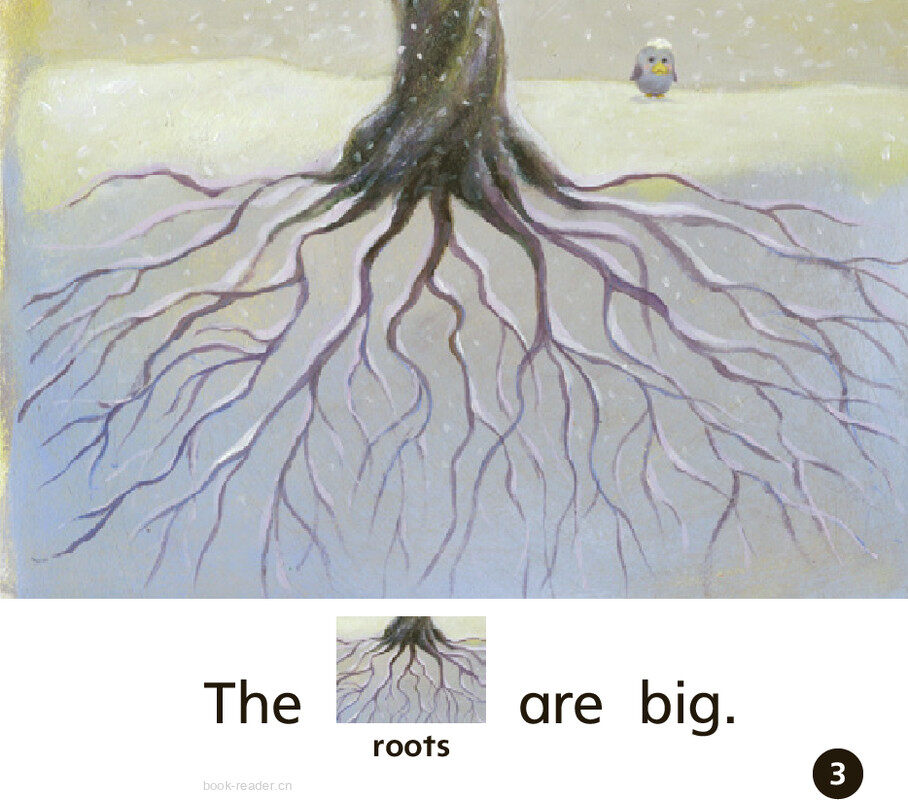 GK Approach U05W2 The Tree绘本故事第4页