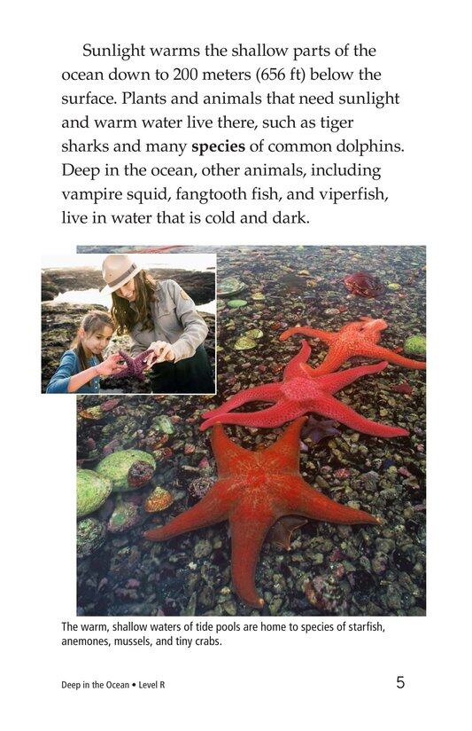 Deep in the Ocean绘本故事第4页