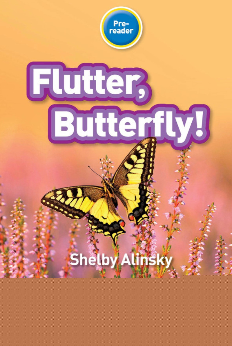 Flutter Butterfly绘本故事第2页