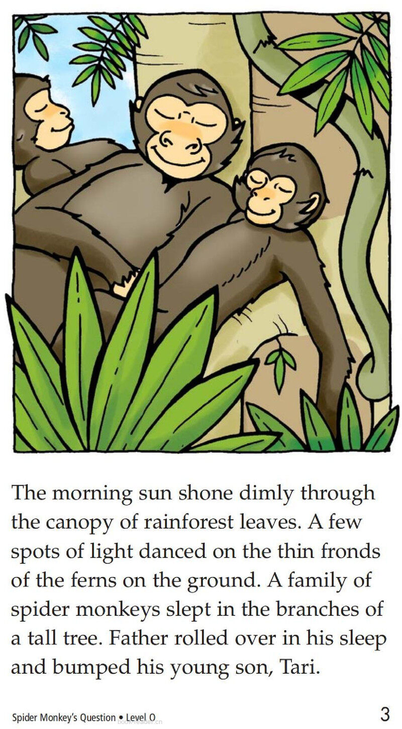 Spider Monkey's Question绘本故事第3页