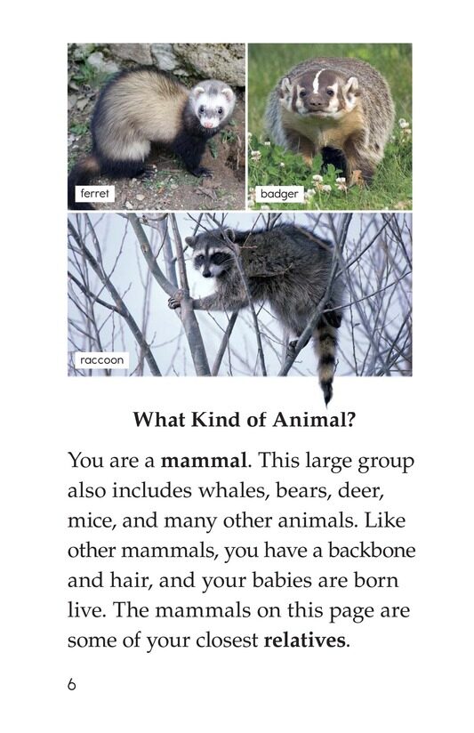 You Stink!绘本故事第5页