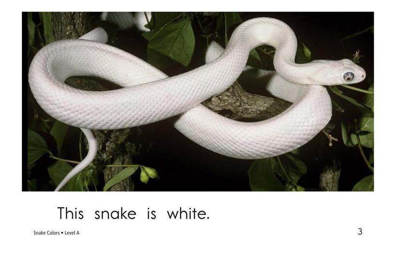 Snake Colors绘本故事第3页