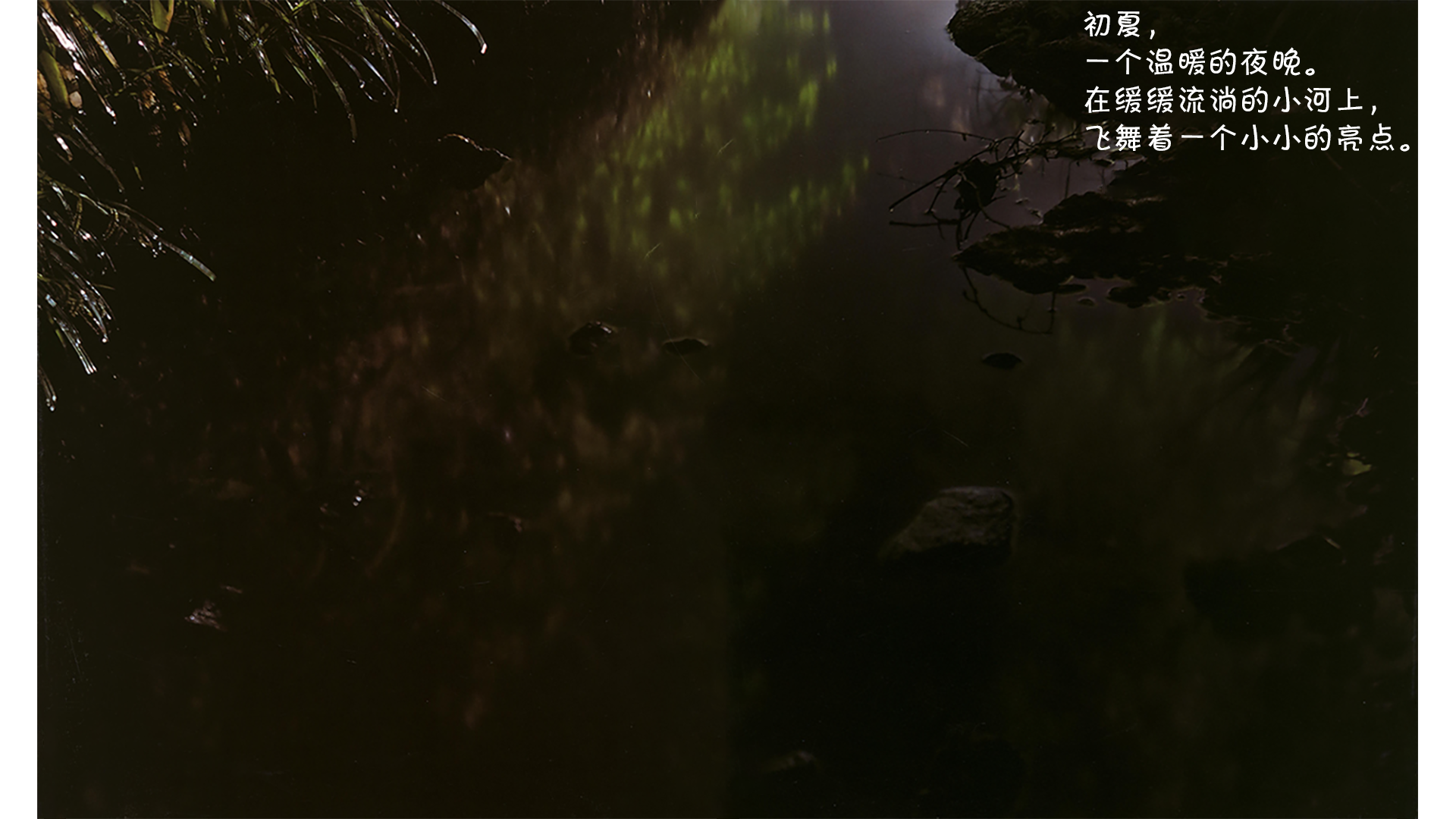 诞生了！萤火虫绘本故事第3页