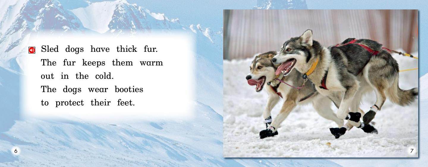 All About Sled Dogs绘本故事第5页