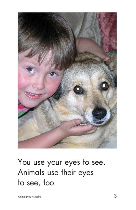 Animal Eyes绘本故事第3页