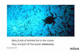 Ocean Animals绘本故事第3页