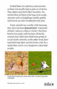 The Trouble with Exotic Pets绘本故事第4页