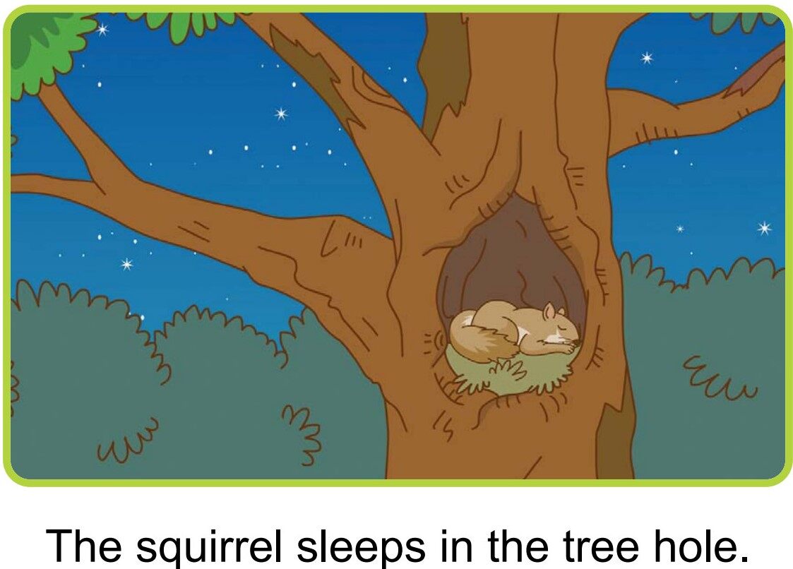 At Night绘本故事第4页