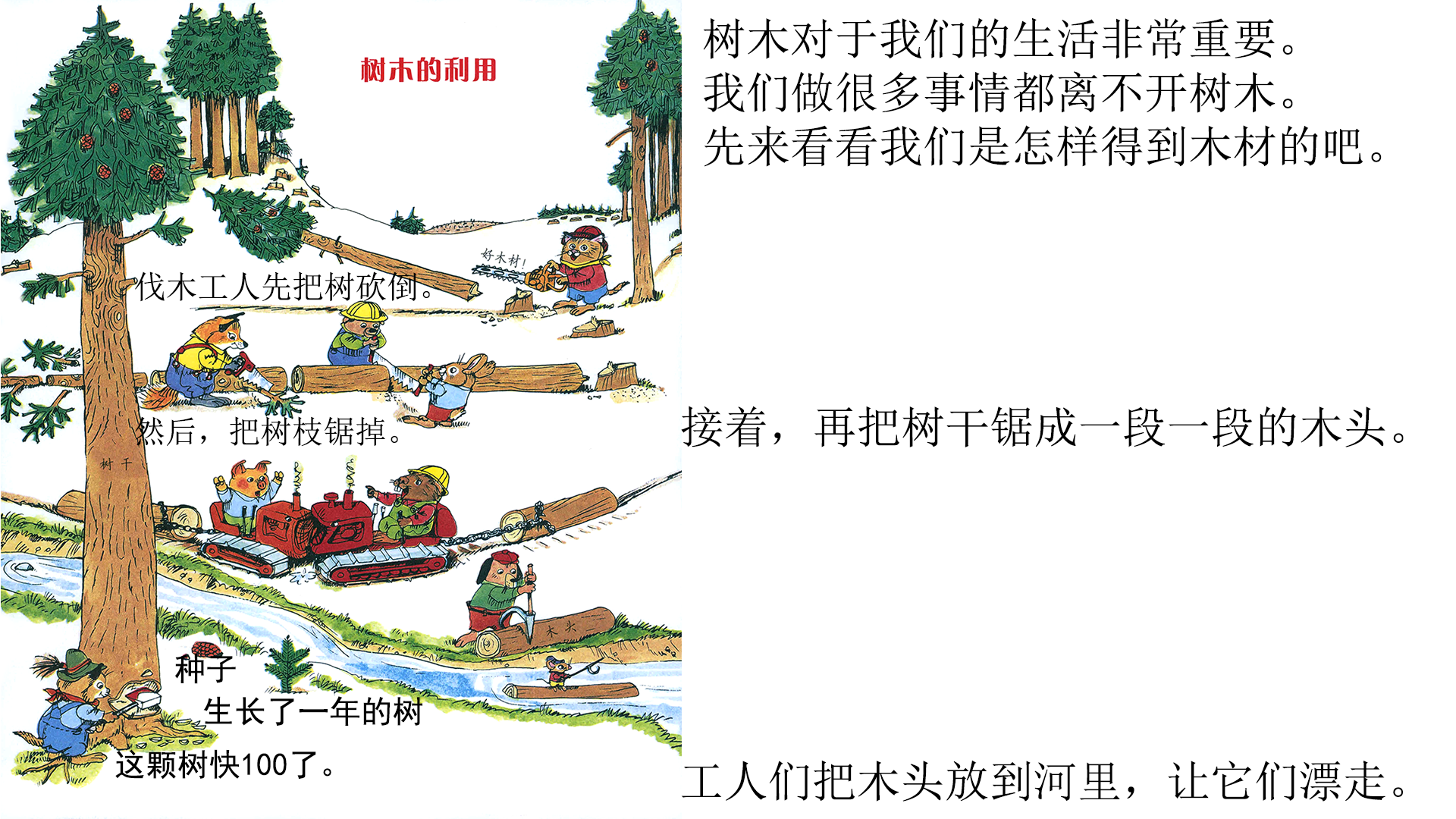 忙忙碌碌镇7：木材厂绘本故事第3页