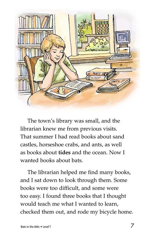 Bats in the Attic绘本故事第5页