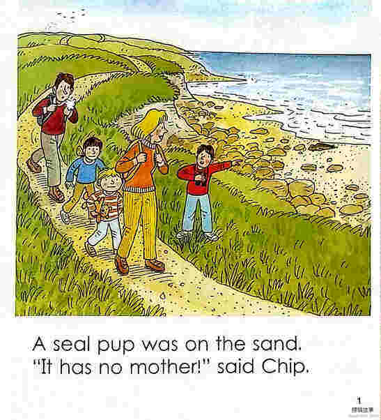 The Seal Pup绘本故事第3页