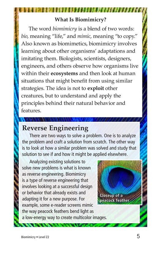 Biomimicry绘本故事第4页