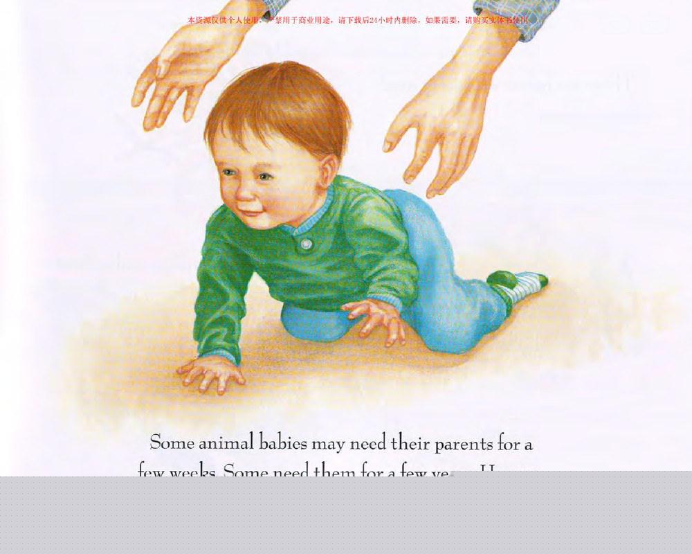 How Animal Babies Stay Safe绘本故事第5页