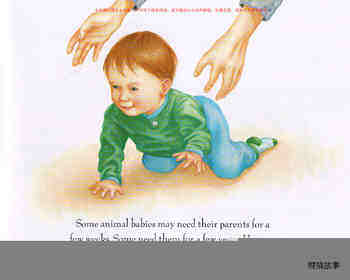 How Animal Babies Stay Safe绘本故事第5页