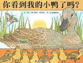 你看到我的小鸭了吗？