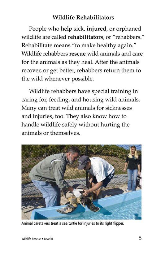 Wildlife Rescue绘本故事第4页