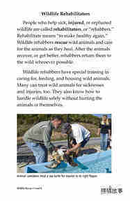 Wildlife Rescue绘本故事第4页