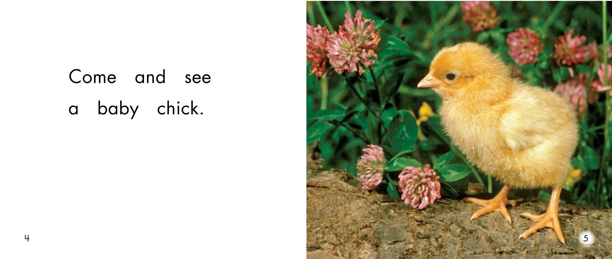 The baby animals绘本故事第4页