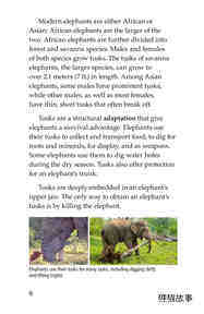 Ivory or Elephants绘本故事第5页