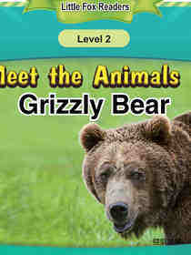 Grizzly Bear