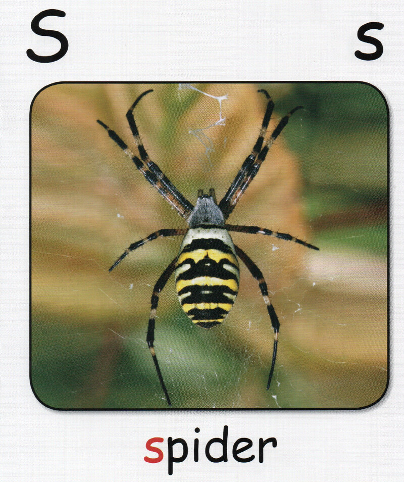 S绘本故事第3页