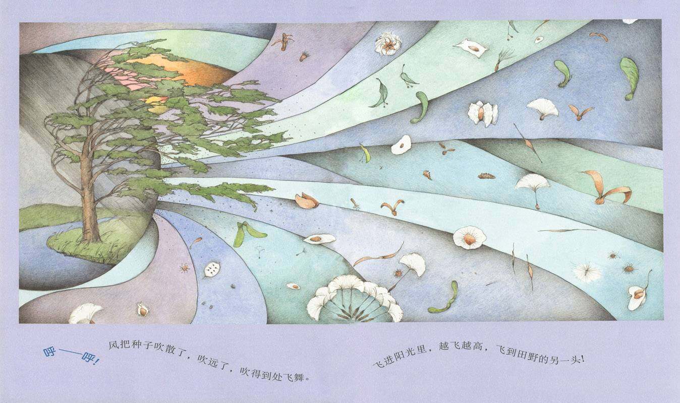 野地上的花园绘本故事第3页