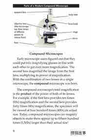 Through a Microscope绘本故事第5页