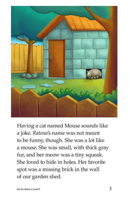 Dia for Maria绘本故事第3页