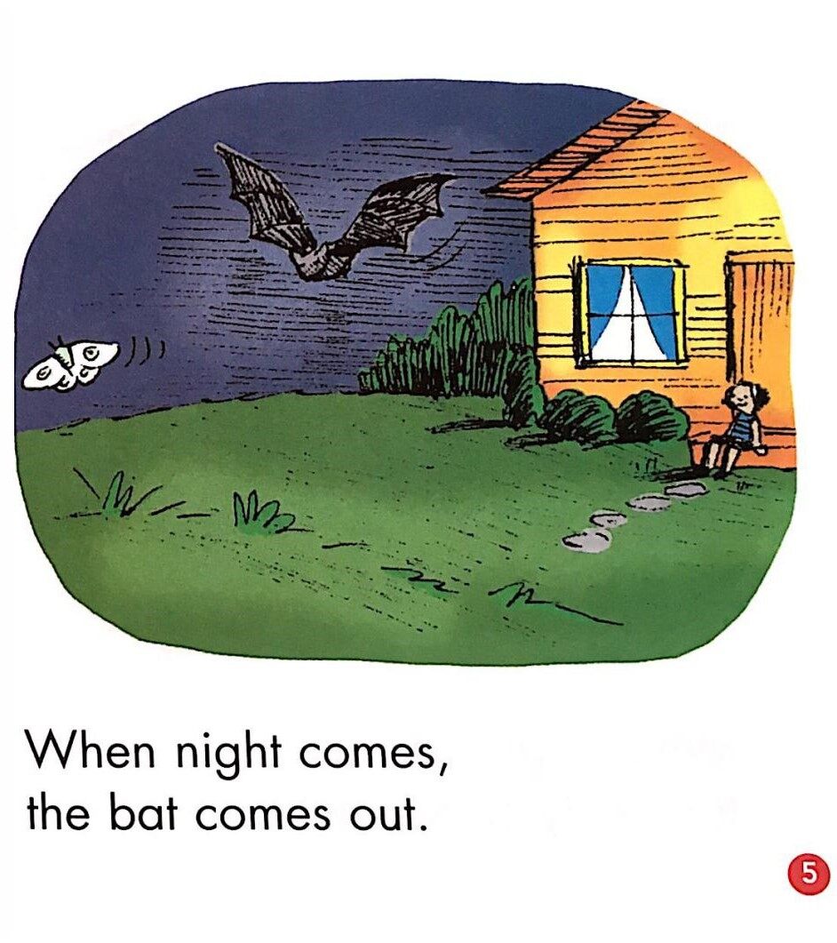 When night comes绘本故事第5页