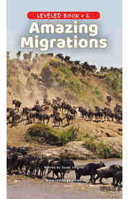 Amazing Migrations