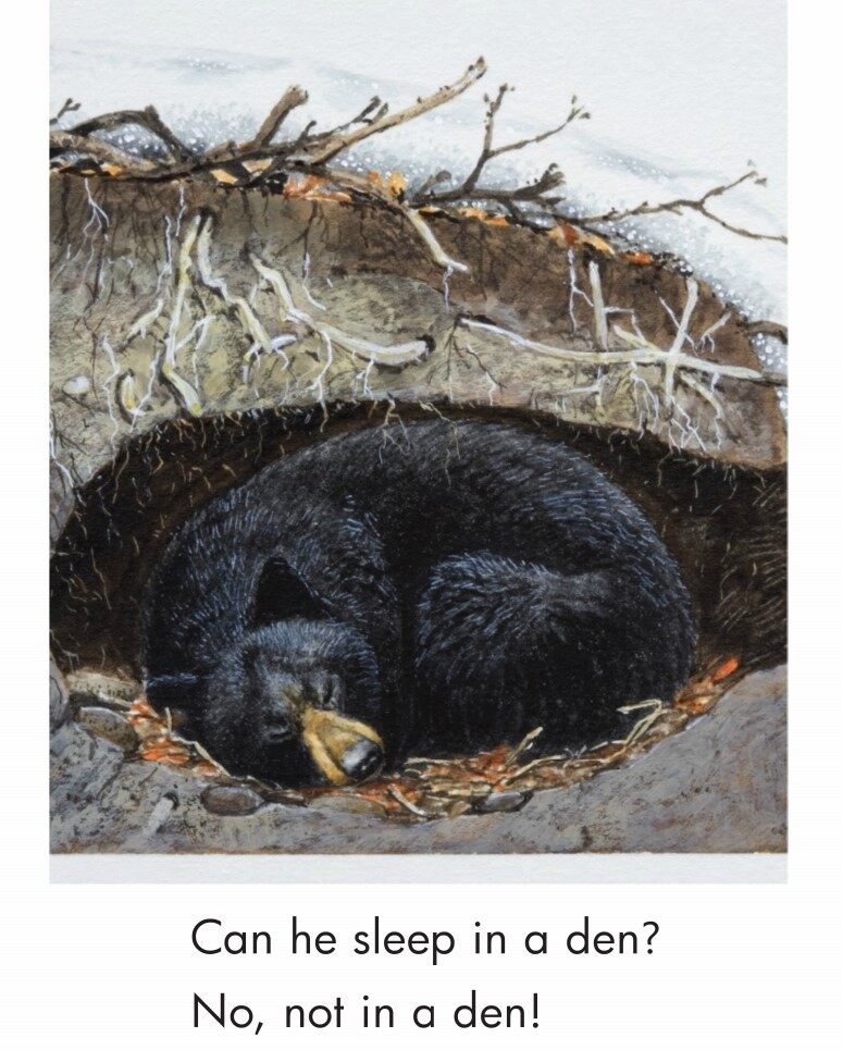 A Winter Home绘本故事第4页