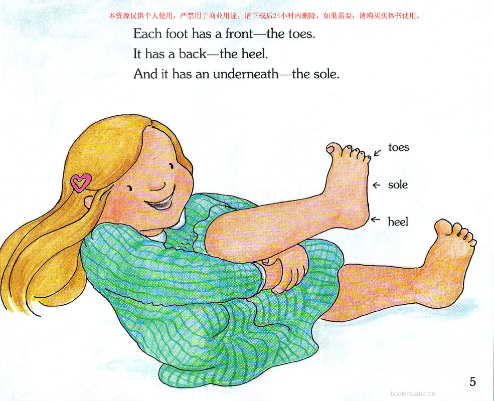 My Feet绘本故事第4页