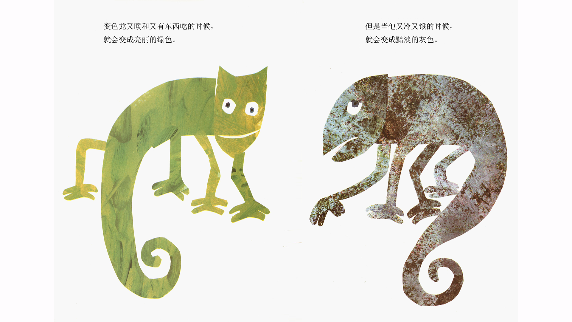 拼拼凑凑的变色龙绘本故事第5页