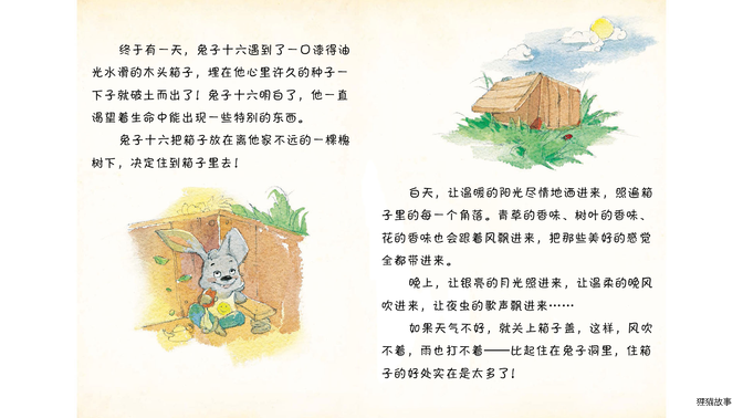 兔子十六和他的箱子绘本故事第4页