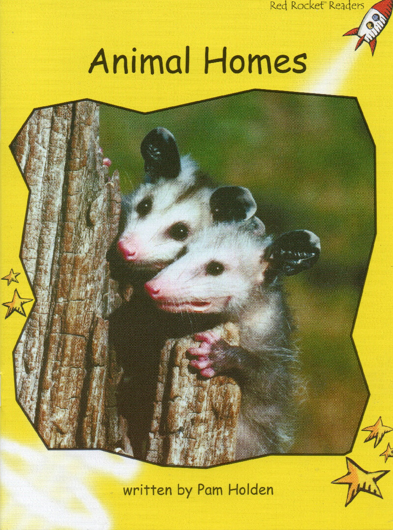 animal homes绘本故事第2页