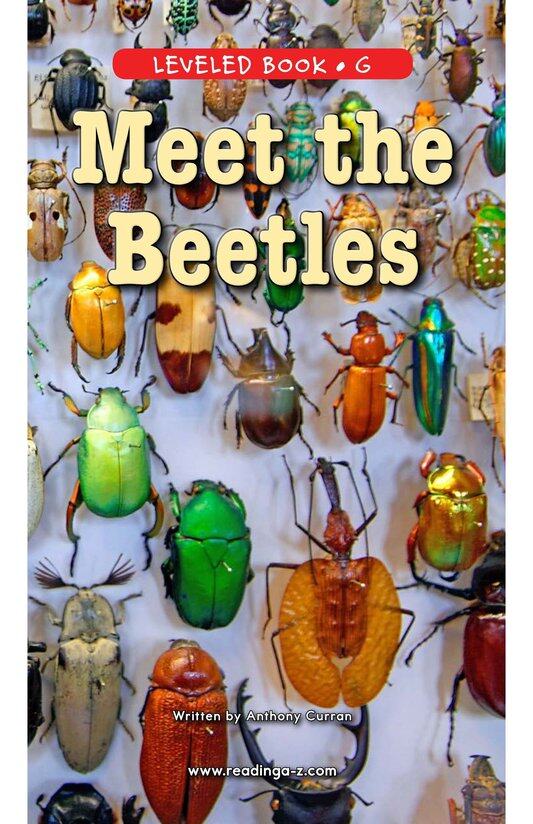 Meet the Beetles绘本故事第2页
