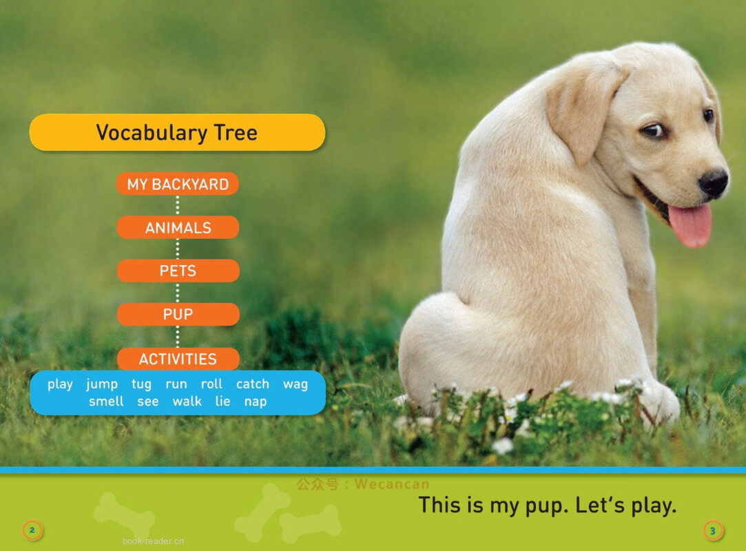 Jump Pup绘本故事第3页