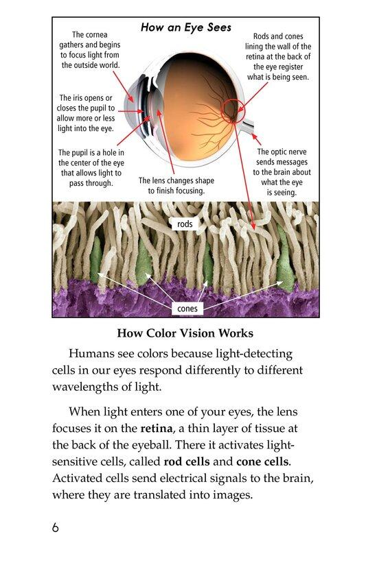 Color Blindness绘本故事第5页