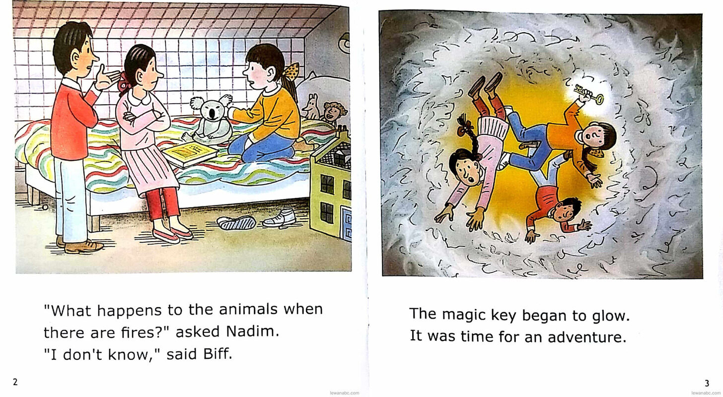 Bush Fire绘本故事第4页