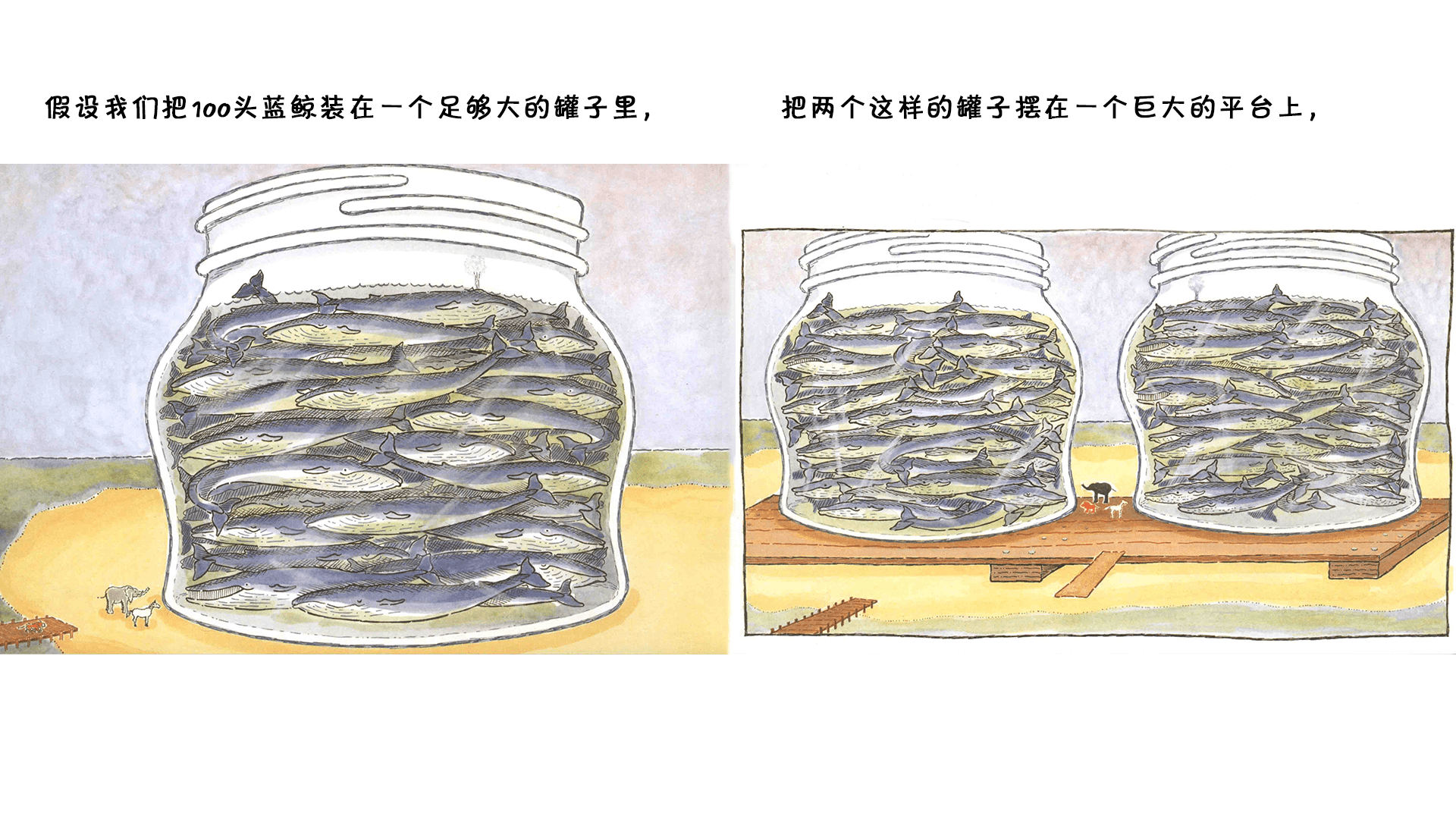 蓝鲸是最大的吗？绘本故事第5页